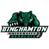 Binghampton [500x500]
